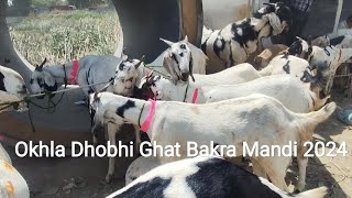 okhla Dhobhi Ghat Bakra Mandi 2024 16062024 Last Day of Mandi Bakra Paradise [upl. by Nhguavad774]