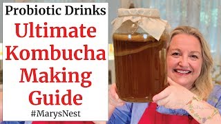 Beginners Guide to Kombucha Making  How to Make Kombucha at Home [upl. by Doig]