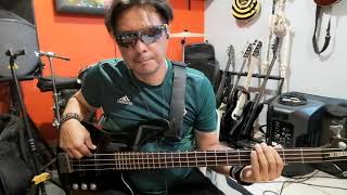 Rostros ocultos  El final bass Cover Excelente calidad de audio Disfrutala [upl. by Erdied]