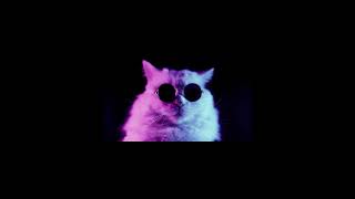 Flashing Lights Slowed Reverb Ft Cool Cat watch full video music slowedandreverb chill song [upl. by Thea]