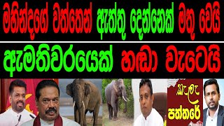 මහින්දගේ වත්තෙන් ඇත්තු දෙන්නෙක් මතුවෙයි ඇමැතිවරයෙක් හඬා වැටෙයිKalapaththareකැලෑ පත්තරය [upl. by Gershon]