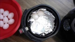 Farberware Air Fryer Boiled Eggs [upl. by Leta]