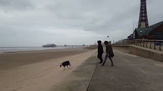 Blackpool walking around albert road seafront and shopping area [upl. by Taimi]