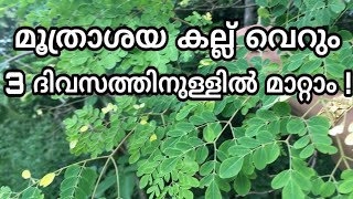 ഈ ഇലകൾ മാത്രം മതി മൂത്രത്തിൽക്കല്ലു പോകാൻ  Kidney stone home remedies malayalam  moothrathil kallu [upl. by Chip]