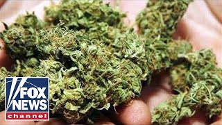 Canadas marijuana market now largest in the world [upl. by Heid331]