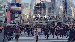 a day in my life in japan shibuya crossing hachiko and shibuya 109 at SHIBUYA STATION TOKYO JAPAN [upl. by Ilarin514]