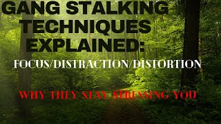 Gang Stalking Techniques Explained FocusDistractionDistortion gangstalking [upl. by Zetnom541]