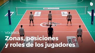 Las zonas las posiciones y los roles de los jugadores  Voleibol [upl. by Fara103]