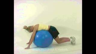 Core Exercise Prone Trunk Stretch  Physical Therapy Exercise [upl. by Eatnoj]