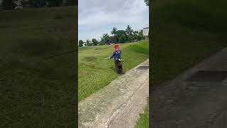 shortvideo automobile grassing gardenlandscaping bangladesh farming grasscuting landscapegar [upl. by Tudela1]