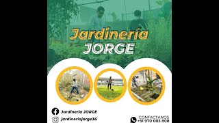 🌵SOMOS JARDINERÍA J💣RGE🌵 Tu mejor Opción [upl. by Bonnice]