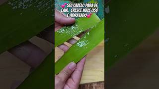 Uma receita dos antigos que funciona mesmo receitas dicas cabelo cabeloliso [upl. by Enayr861]