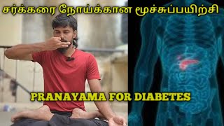 சர்க்கரை நோய்க்கான மூச்சுப்பயிற்சிPranayama for diabetics [upl. by Ihsar]