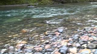 Rock Hounding by Trout Creek Campground [upl. by Enitnelav]