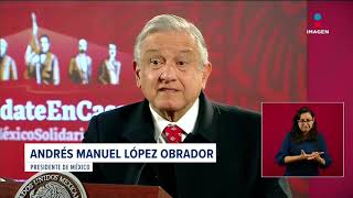 Alejandro Bichir de actor a posible embajador de Panamá tras propuesta de AMLO [upl. by Anerys]