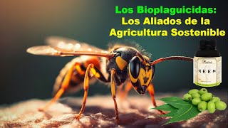 Los Bioplaguicidas Los Aliados de la Agricultura Sostenible [upl. by Ennaeus]