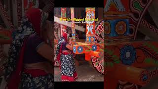 shri jagarnath Rath Yatra  shorts  viral [upl. by Sarina]