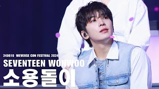 FACECAM 240616 세븐틴 원우 WEVERSE CON 소용돌이 직캠 4K [upl. by Weiler]