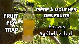 Piège à mouches des fruits  Fruit fly trap  مصيدة لذبابة الفاكهة [upl. by Adalai]