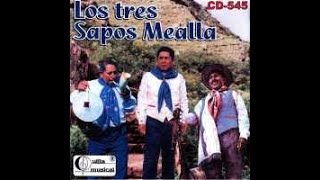 Los Sapos Cantores de Tarija  Cueca para Nilo Soruco [upl. by Tammie]