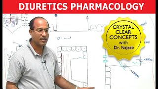 Diuretics  Pharmacology  Dr Najeeb [upl. by Eskill490]