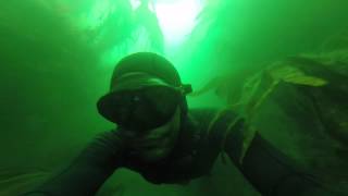 freediving the crack of life Cornwall [upl. by Fairlie]