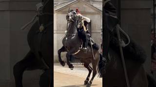 HORSE QUITS  King’s Guards Shows Brilliant Display of Horsemanship Talent [upl. by Aurore]