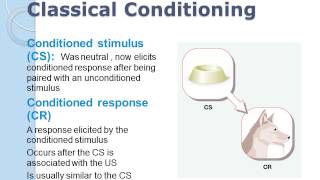 Learning classical conditioning [upl. by Launame]