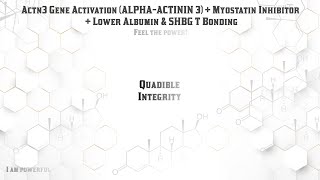 ★ACTN3 Gene Activation AlphaActinin 3  Myostatin Inhibitor  Lower Albumin and SHBG T Bonding★ [upl. by Gal]