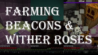 Farming Beacons amp Wither Roses [upl. by Leirud710]