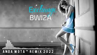 BWIZA  Exchange ™Anda Wota Remix 2022 [upl. by Burnight]