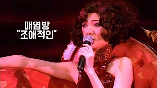 매염방 【조애적인 Plastic Love】 [upl. by Laehcim]