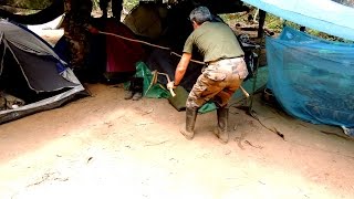 Un serpent venimeux sintroduit dans un campement en Amazonie A venomous snake enters in a tent [upl. by Nebra]