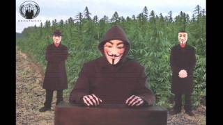 Anonymous  Truth About Cannabis [upl. by Ainer870]