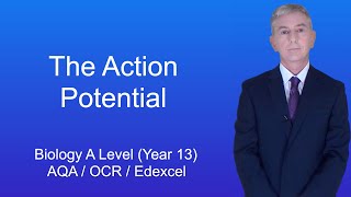 A Level Biology Revision Year 13 quotThe Action Potential and the AllorNothing Principlequot [upl. by Riordan]