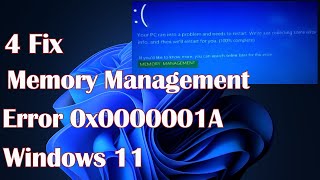 Memory Management error 0x0000001A on Windows 11  4 Fix [upl. by Sucul]