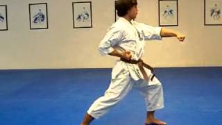 Taikyoku Shodan Shotokan Karate kata 1 [upl. by Issim598]