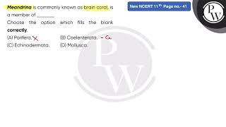 Meandrina is commonly known as brain coral is a member of \nChoose the option which fill [upl. by Nuhsar]