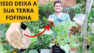 VERMICULITA na HORTA como USAR nas PLANTAS da forma CERTA melhorando o SUBSTRATO de CULTIVO [upl. by Cyler]