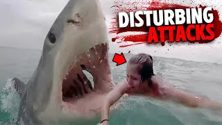 The Most DISTURBING Shark Attacks MARATHON [upl. by Motteo]