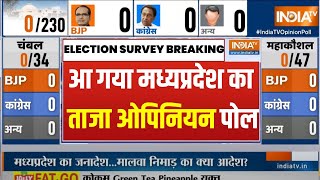 MP Election Opinion Poll 2023  मध्यप्रदेश के 230 सीटों पर सबसे ताजा ओपिनियन पोल  MP News [upl. by Arber]