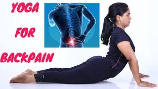 Yoga For Lower Back PainSlip Discமுதுகு வலியை போக்கும் யோகா in Tamil by DrLakshmi Andiappan [upl. by Innor422]