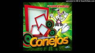 Internacionales Conejos  Mix Duranguense Oh Carol  Vamos a Bailar [upl. by Greenlee]