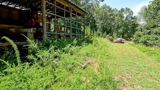 Mulching around a Saw Mill [upl. by Alletneuq]