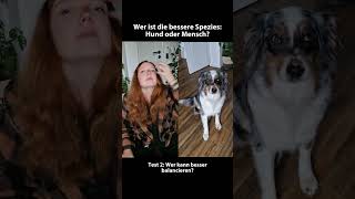 Für welches Team seid ihr🧍‍♂️🐕 [upl. by Lisbeth632]