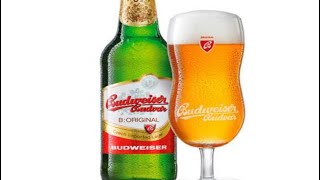 29 Original Budweiser Budvar Czech lager 571 [upl. by Federica]