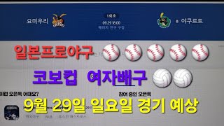 스포츠토토 프로토 9월 29일 일요일 일본 프로야구 🥎🥎⚾️⚾️⚾️ 코보컵 여자배구 🏐🏐 예상 [upl. by Spear40]