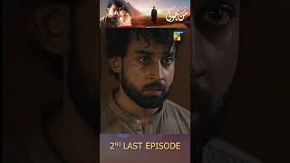 Mann Jogi  2nd Last Ep 8 Teaser bilalabbaskhan sabeenafarooq goharrasheed humtv shorts [upl. by Kobe]