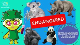 Endangered Animals  KS1 Science  STEM and Beyond [upl. by Namyl737]