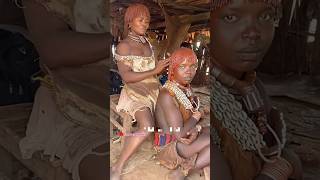 Crazy marriage ceremony of hammar tribe in Ethiopia thepaktrekker [upl. by Nagam]